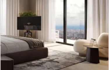 1 Bedroom Apartments + Den