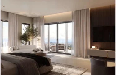 1 Bedroom Apartments + Den