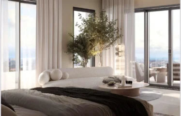 1 Bedroom Apartments + Den