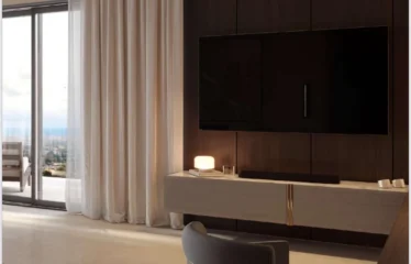 1 Bedroom Apartments + Den