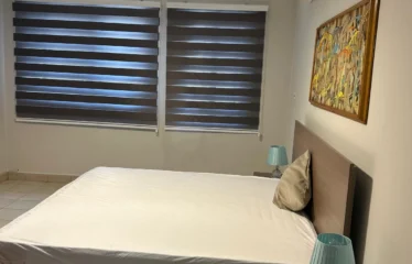 Fully Furnished 4 Bedroom